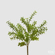 edg enzo de gasperi edg enzo de gasperi pianta artificiale bosso cespuglio h 45 cm light green pianta decorativa realistica design moderno ean 8059824668325
