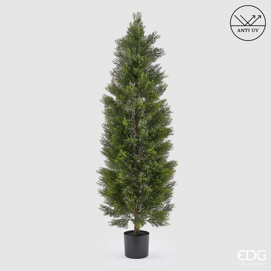 edg enzo de gasperi edg enzo de gasperi pianta artificiale cipresso h 180 cm verde con vaso anti uv per interno ed esterno ean 8059824655394