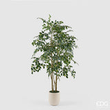 edg enzo de gasperi edg enzo de gasperi pianta artificiale ficus beniamino vogue con vaso h180 cm pianta decorativa realistica design moderno ean 8059824655073
