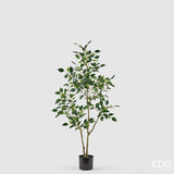 edg enzo de gasperi edg enzo de gasperi pianta artificiale ficus vogue con vaso h120 cm pianta decorativa realistica design moderno ean 8059824655196