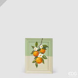 edg enzo de gasperi edg enzo de gasperi quadro frutta rettangolare 40 x 30 cm verde mix decorazione parete cucina design moderno ean 8059824670977