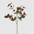 edg enzo de gasperi edg enzo de gasperi rex ramo natalizio con bacche e foglie h 66 cm verde rosso ean 8059824287687