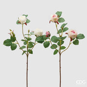 EDG Enzo De Gasperi Rosa Olga Olis Ramo Ass. H 62 cm Künstliche Pflanze Weiß Rosa 1 Stück