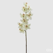 EDG Enzo De Gasperi Orchidee Cymbidium H 90 cm Weiß Grün