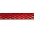immagine-1-etm-nastro-puntin-20-mm-25-mt-rosso-ean-8056095522936