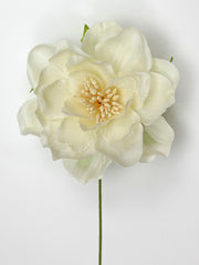 Due Elle Peonie Polyester D 7,5 cm Elfenbein 6 Stück