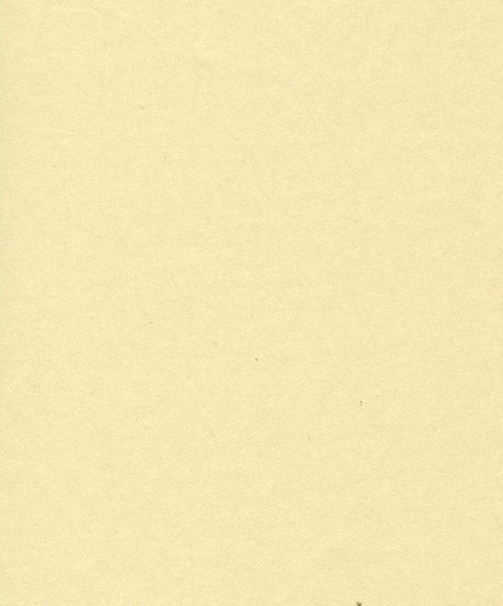 immagine-1-saul-sadoch-carta-regalo-perlage-h-070-mt-l-25-mt-panna-ean-8006715243338
