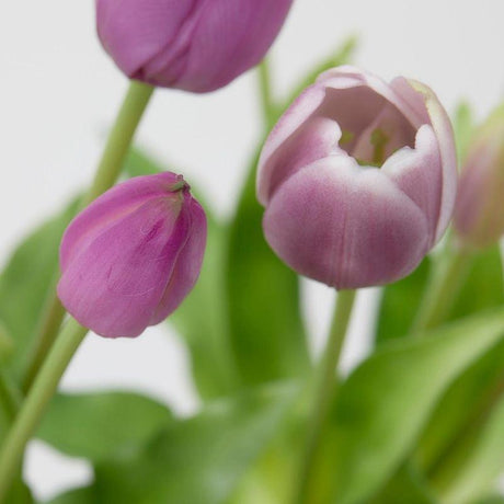 edg enzo de gasperi edg enzo de gasperi bouquet di 5 tulipani chiusi gomma olis ass h 40 cm lilac 1 pz ean 8059824081865