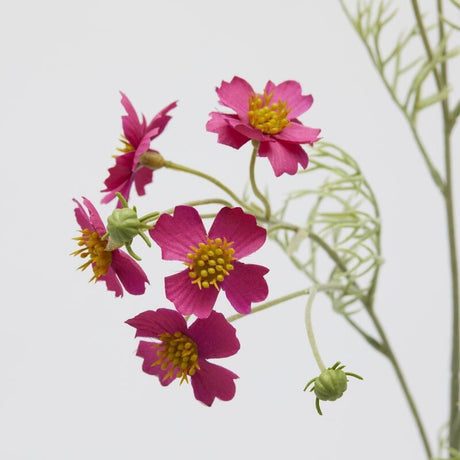 edg enzo de gasperi edg enzo de gasperi cosmos ramo con foglie h 65 cm pianta artificiale fuchsia ean 8059824485908