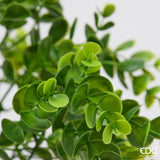 edg enzo de gasperi edg enzo de gasperi eucalipto anti uv cespuglio pianta artificiale h 37 cm verde ean 8059824658050