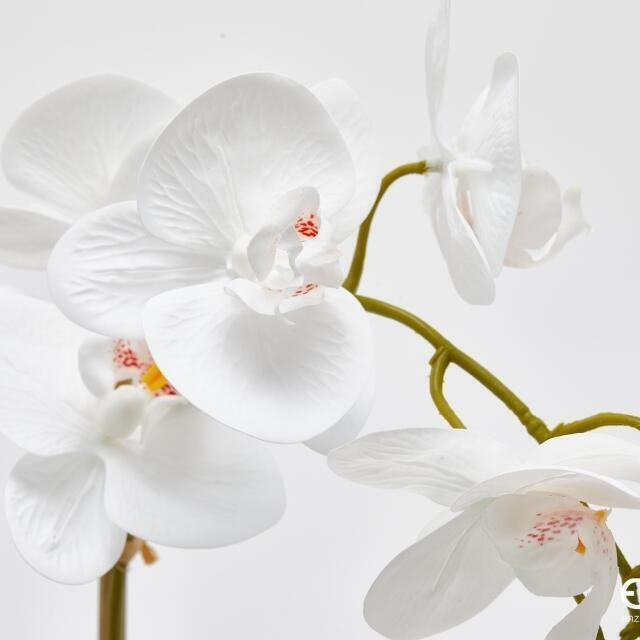edg enzo de gasperi edg enzo de gasperi orchidea phalaenopsis con foglie e vaso h 47 cm pianta artificiale bianco ean 8059824513656