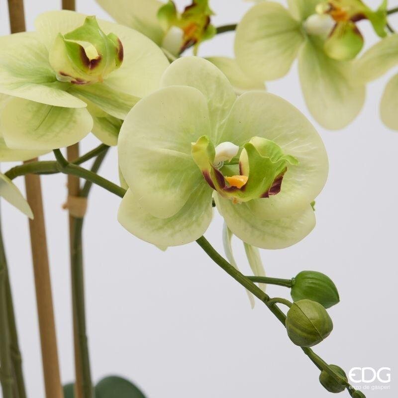 edg enzo de gasperi edg enzo de gasperi orchidea phalaenopsis x8 con bocciolo e vaso pianta artificiale h 90 cm verde ean 8059824669292