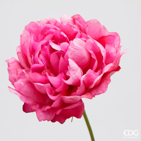 edg enzo de gasperi edg enzo de gasperi peonia ramo x3 con h 67 cm pianta artificiale colore beauty ean 8059824608529