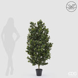 edg enzo de gasperi edg enzo de gasperi pianta artificiale agrifoglio h 157 cm con vaso anti uv verde per interno ed esterno ean 8059824655356