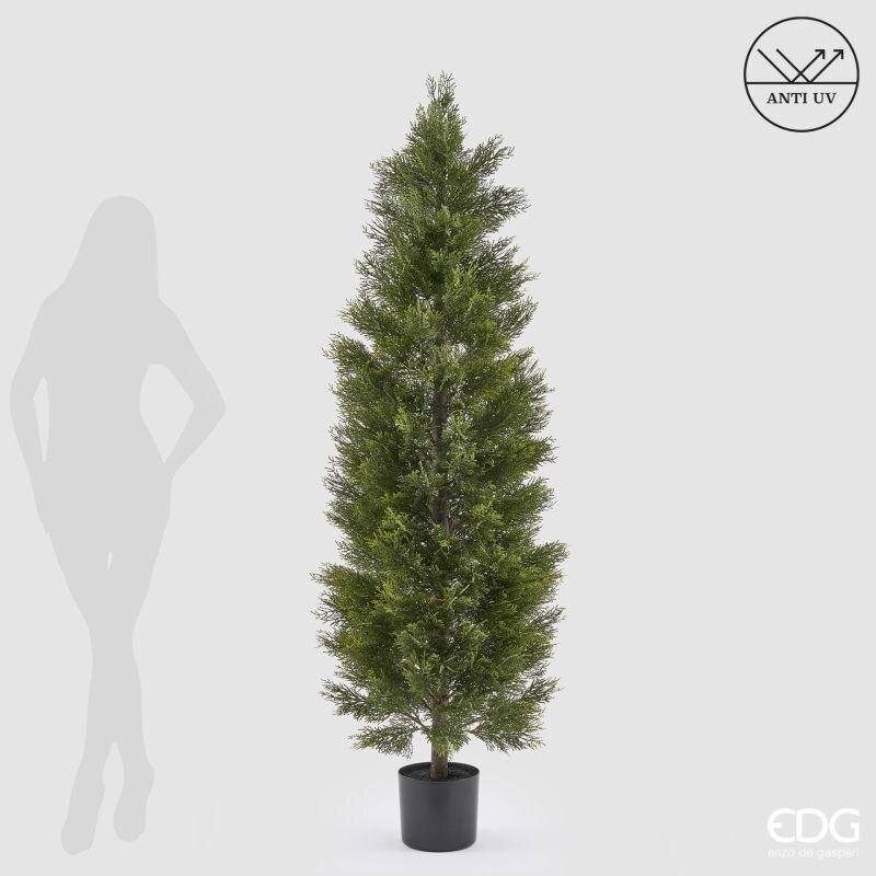 edg enzo de gasperi edg enzo de gasperi pianta artificiale cipresso h 180 cm verde con vaso anti uv per interno ed esterno ean 8059824655394