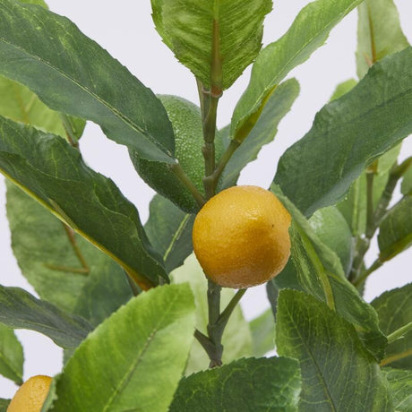 edg enzo de gasperi edg enzo de gasperi pianta artificiale di limoni con vaso h 56 cm green mix ean 8059824355898