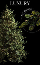 edg enzo de gasperi pino luxury h 270 cm d 163 cm con 6 000 led verde ean 8056372916700