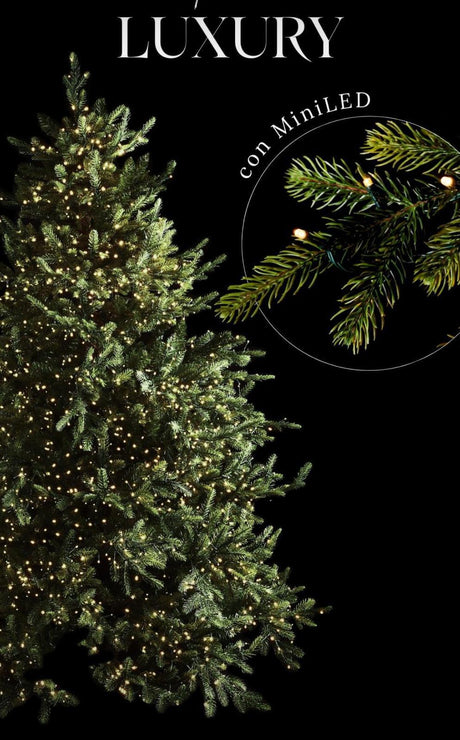 edg enzo de gasperi pino luxury h 270 cm d 163 cm con 6 000 led verde ean 8056372916700