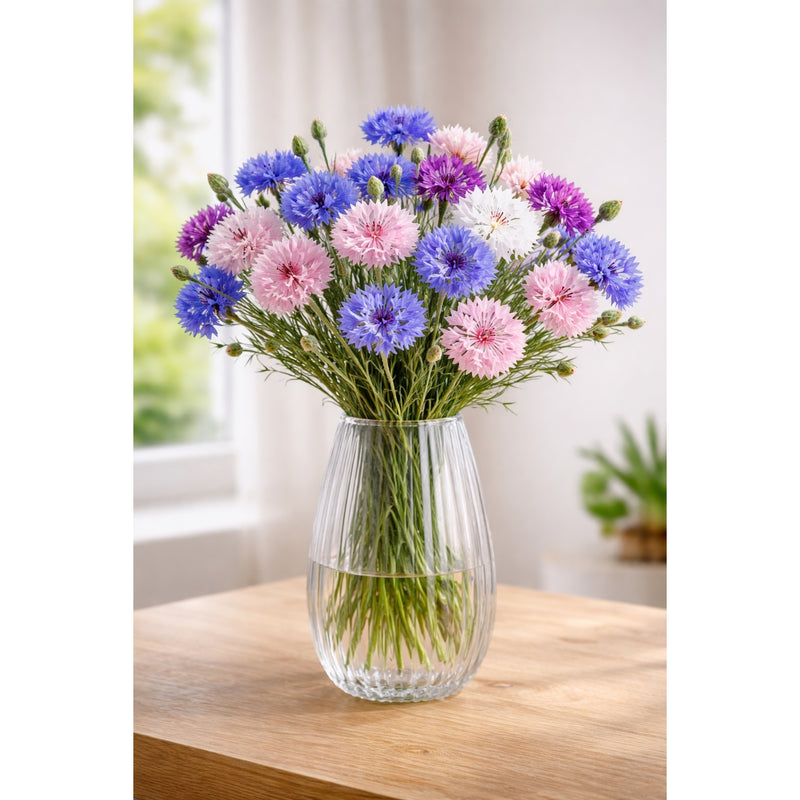 regalo italiano regalo italiano vaso in vetro nellie d 15 cm h 37 cm vaso decorativo elegante per fiori e arredo casa ean 8057586048447