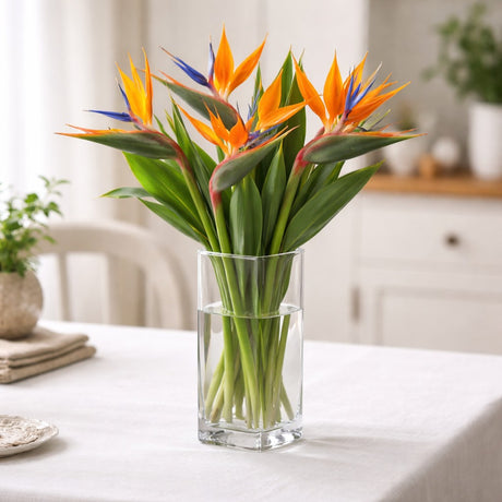 regalo italiano regalo italiano vaso in vetro rettangolare 8 x 8 cm h 20 cm vaso alto per fiori e arredo ean 8021785797758