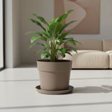Interno living moderno