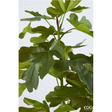 edg enzo de gasperi edg enzo de gasperi fico con vaso h 150 cm pianta artificiale verde ean 8059824613233