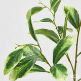 edg enzo de gasperi edg enzo de gasperi ligustro ramo h 110 cm pianta artificiale giallo verde ean 8059824606846