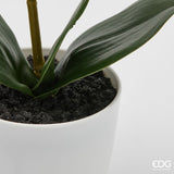 edg enzo de gasperi edg enzo de gasperi orchidea phalaenopsis con vaso e foglie h 40 cm pianta artificiale rosa chiaro ean 8059824513557