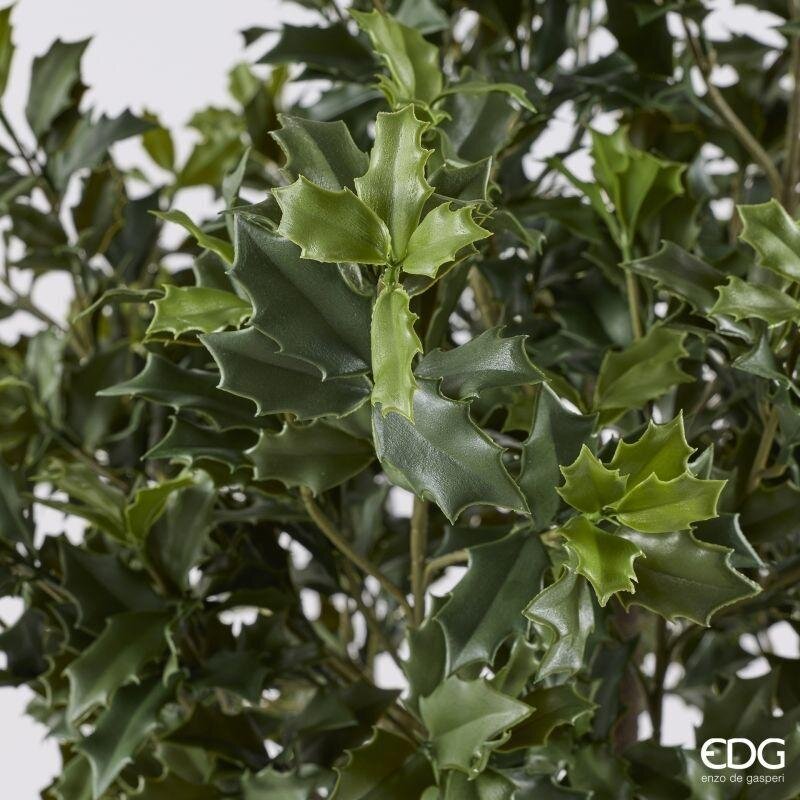 edg enzo de gasperi edg enzo de gasperi pianta artificiale agrifoglio h 188 cm con vaso anti uv verde per interno ed esterno ean 8059824655318