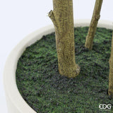 edg enzo de gasperi edg enzo de gasperi pianta artificiale ficus beniamino vogue con vaso h210 cm pianta decorativa realistica design moderno ean 8059824655059