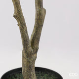 edg enzo de gasperi edg enzo de gasperi pianta artificiale ficus vogue con vaso h 150 cm pianta decorativa realistica design moderno ean 8059824655264