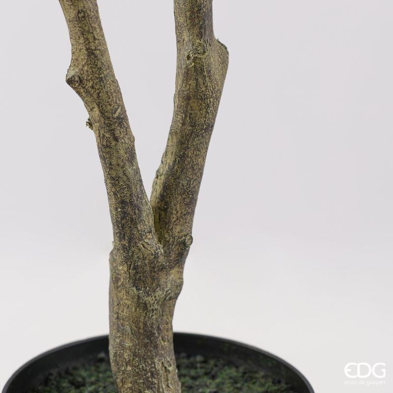edg enzo de gasperi edg enzo de gasperi pianta artificiale ficus vogue con vaso h 150 cm pianta decorativa realistica design moderno ean 8059824655264