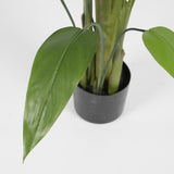 edg enzo de gasperi edg enzo de gasperi strelitzia x20 con vaso h 152 cm pianta artificiale verde ean 8059824497932