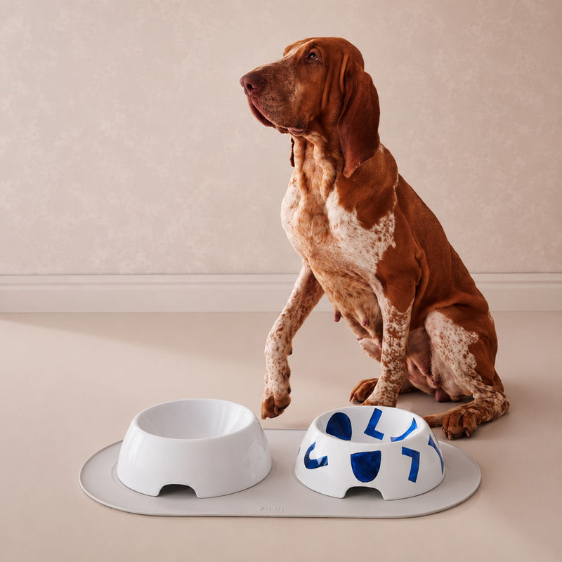 alessi alessi tappetino sottociotola antiscivolo cani e gatti grigio large 64x35 cm ean 8003299503537