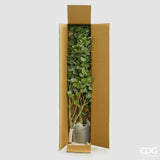 edg enzo de gasperi edg enzo de gasperi eucalipto vogue con vaso pianta artificiale h 190 cm verde ean 8059824607294