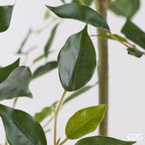 edg enzo de gasperi edg enzo de gasperi pianta artificiale ficus vogue con vaso h120 cm pianta decorativa realistica design moderno ean 8059824655196