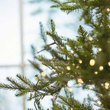 edg_enzo de gasperi albero di natale pino luxury new h 180 cm con 2000 mini led d 100 cm ean 8059824177650