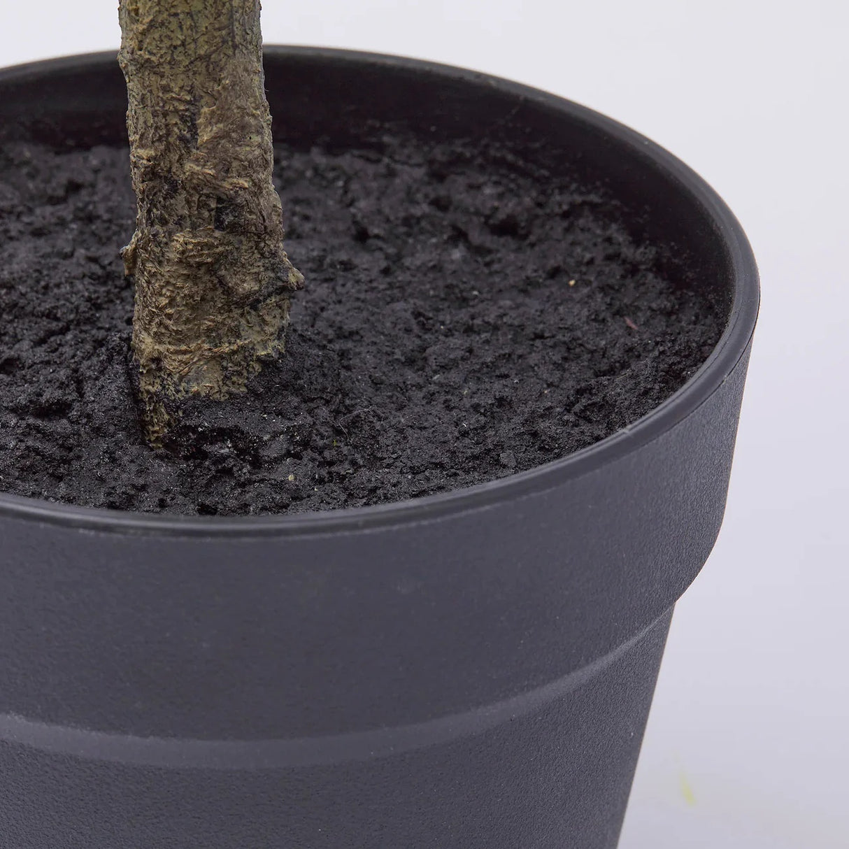edg enzo de gasperi edg enzo de gasperi mandarino con vaso h 76 cm pianta artificiale mix verde ean 8059824355911