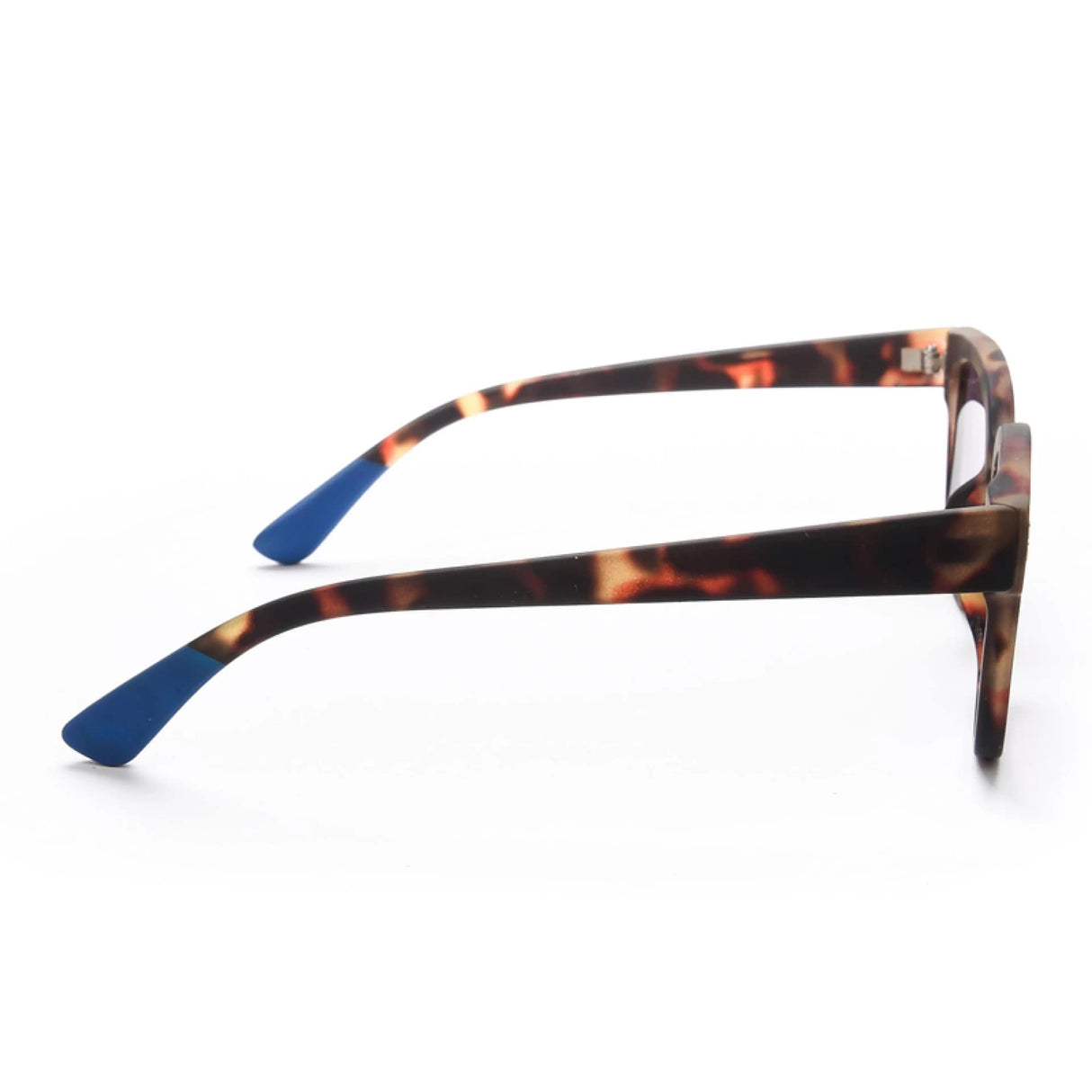 okkia okkia occhiale da sole premontato mod giovanni classic havana w blue finals ean 8052862284410
