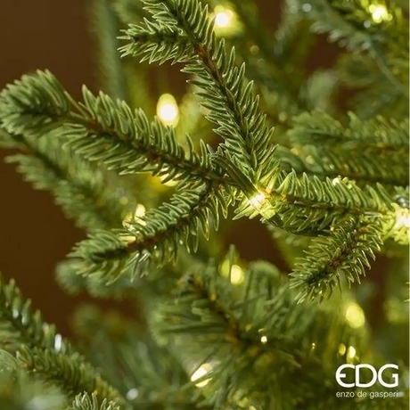 EDG Enzo De Gasperi Weihnachtsbaum Kiefer Lichterkette 2300 LED H.180 IP44 Grün