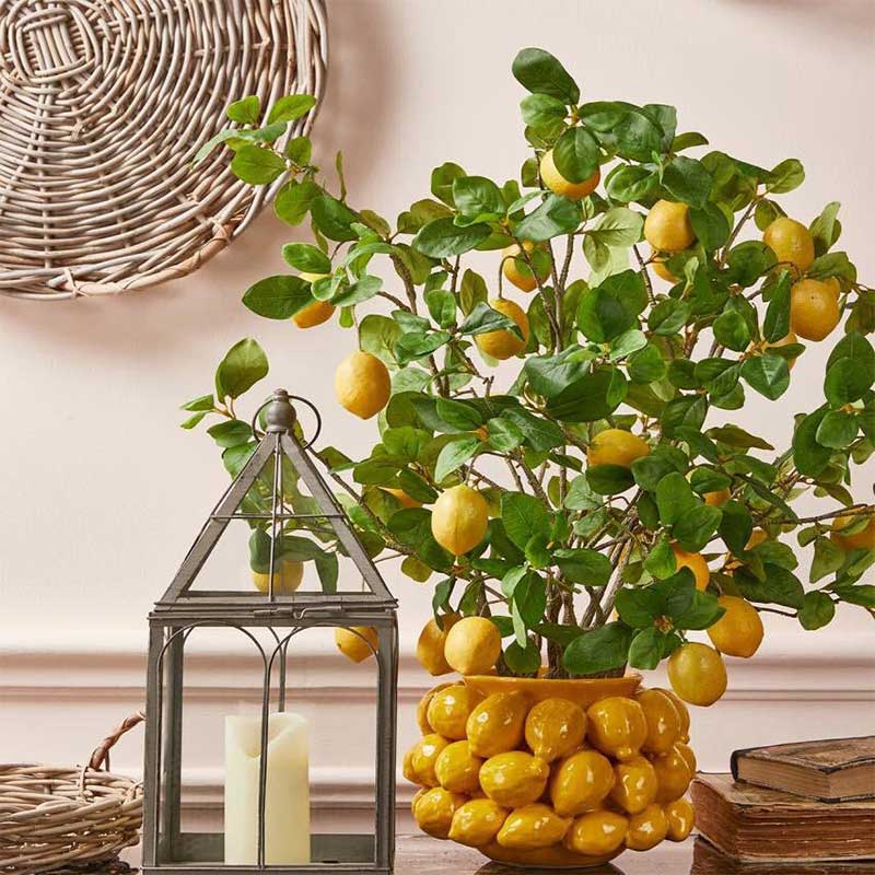EDG Enzo De Gasperi Chakra Vase Limonen Schale H 19 Cm D 45 Cm