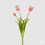 EDG Enzo De Gasperi Tulipe gummiert Olis 3 Stängel H 48 Cm Rosa Creme 1 Pack
