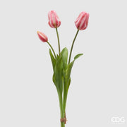 EDG Enzo De Gasperi Tulpe Gummiert Ölis 3 Stiele H 48 Cm Rosa Creme 1 Packung
